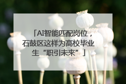 AI智能匹配岗位，石鼓区这样为高校毕业生“职引未来”