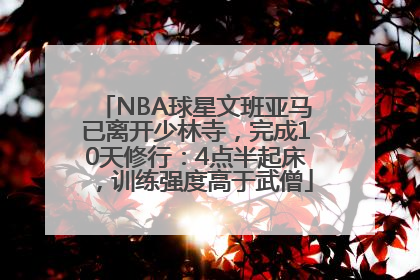 NBA球星文班亚马已离开少林寺，完成10天修行：4点半起床，训练强度高于武僧