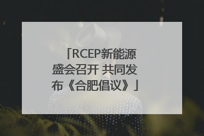 RCEP新能源盛会召开 共同发布《合肥倡议》